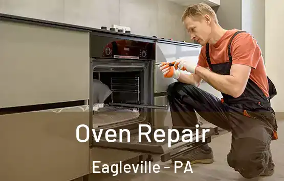  Oven Repair Eagleville - PA