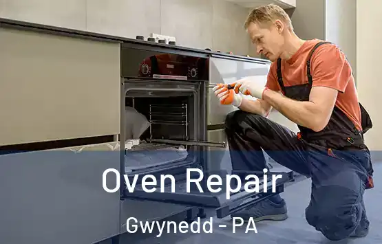  Oven Repair Gwynedd - PA