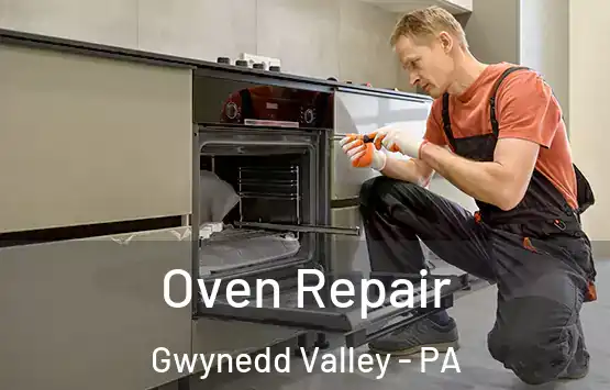  Oven Repair Gwynedd Valley - PA