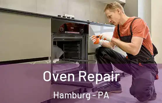  Oven Repair Hamburg - PA