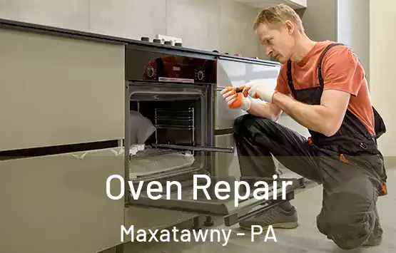  Oven Repair Maxatawny - PA