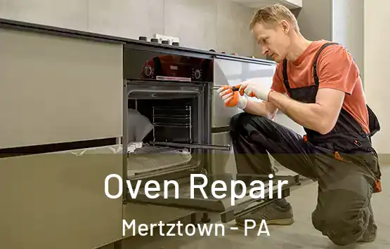  Oven Repair Mertztown - PA