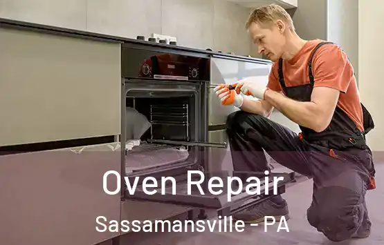  Oven Repair Sassamansville - PA