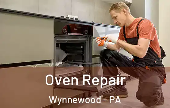  Oven Repair Wynnewood - PA