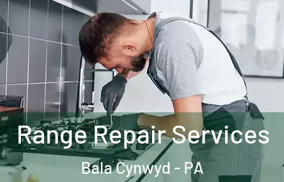  Range Repair Services Bala Cynwyd - PA