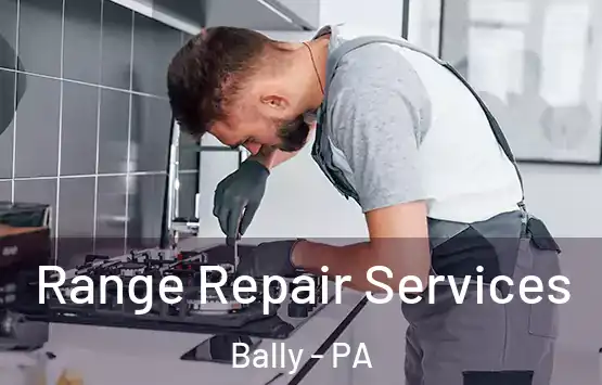 Range Repair Services Bally - PA