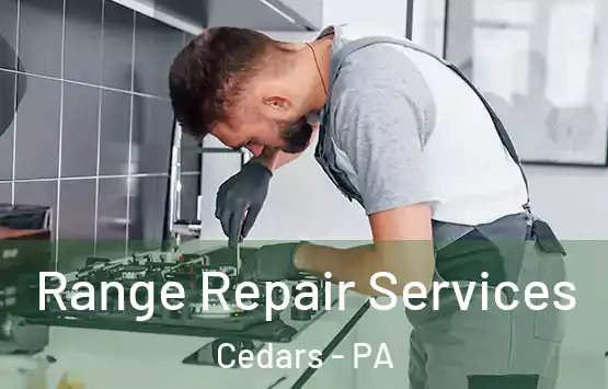  Range Repair Services Cedars - PA