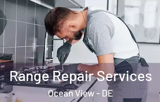  Range Repair Services Ocean View - DE