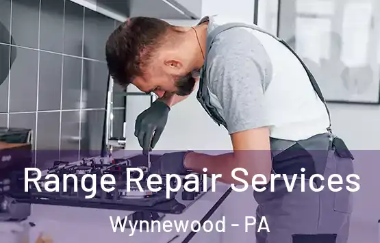  Range Repair Services Wynnewood - PA