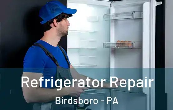  Refrigerator Repair Birdsboro - PA