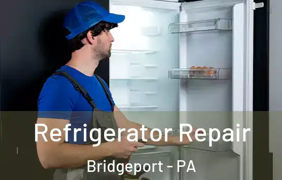  Refrigerator Repair Bridgeport - PA