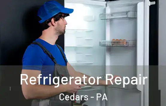  Refrigerator Repair Cedars - PA