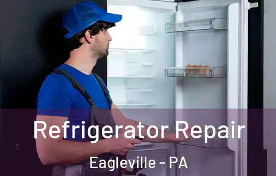  Refrigerator Repair Eagleville - PA