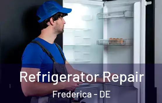  Refrigerator Repair Frederica - DE