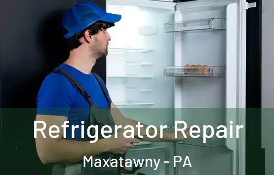  Refrigerator Repair Maxatawny - PA