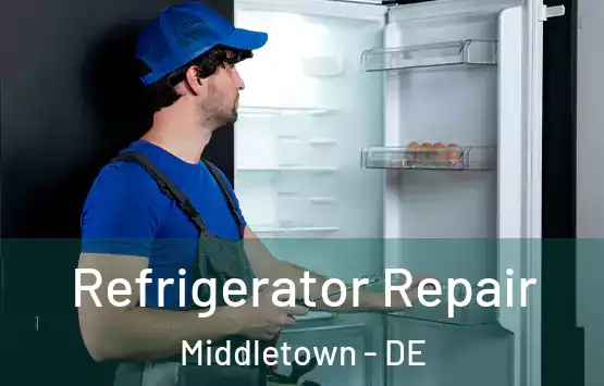 Refrigerator Repair Middletown - DE