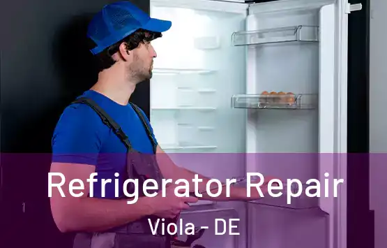  Refrigerator Repair Viola - DE