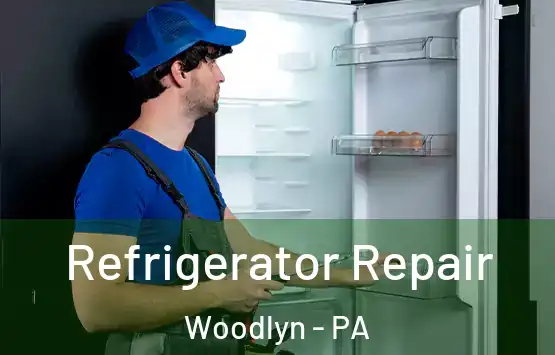  Refrigerator Repair Woodlyn - PA