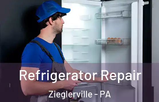  Refrigerator Repair Zieglerville - PA