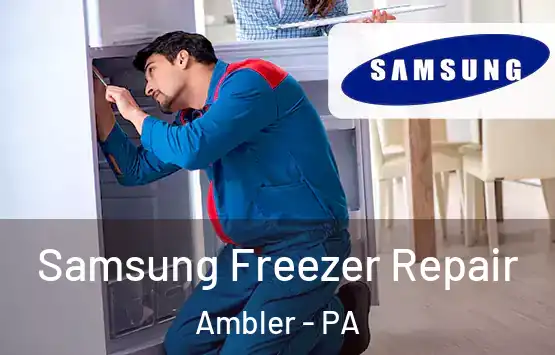  Samsung Freezer Repair Ambler - PA