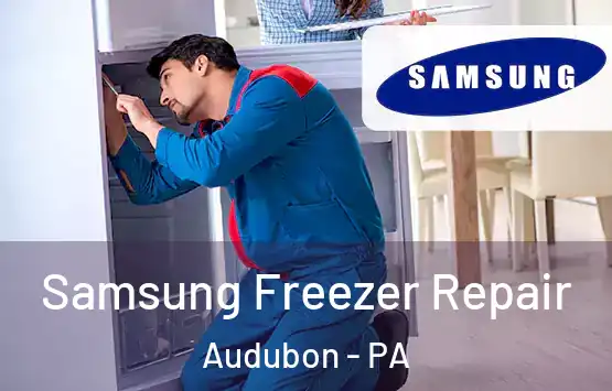  Samsung Freezer Repair Audubon - PA