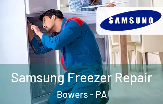  Samsung Freezer Repair Bowers - PA