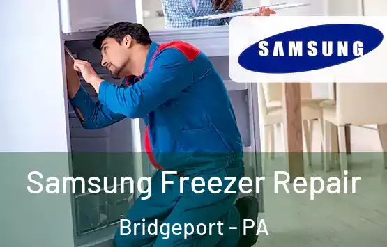  Samsung Freezer Repair Bridgeport - PA