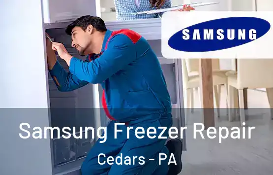  Samsung Freezer Repair Cedars - PA