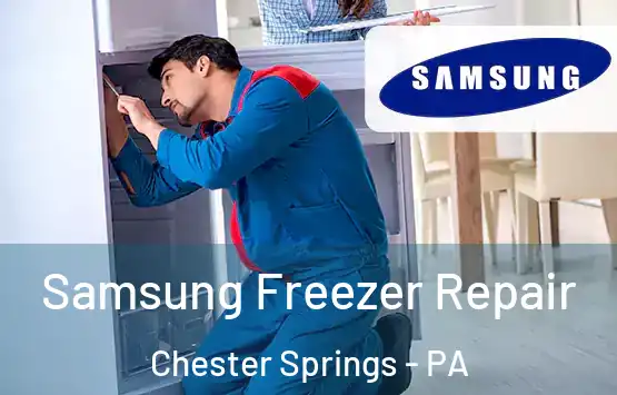  Samsung Freezer Repair Chester Springs - PA