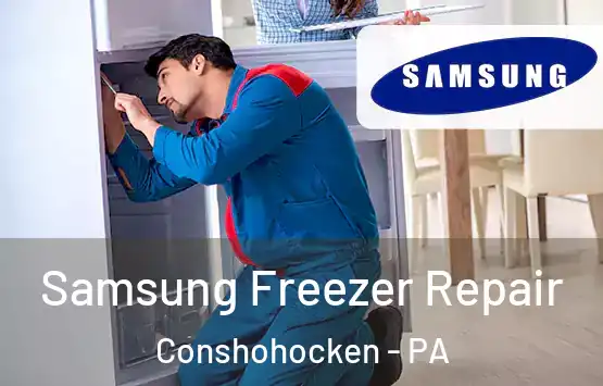  Samsung Freezer Repair Conshohocken - PA