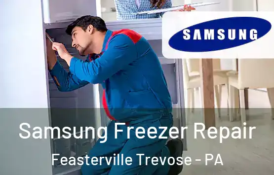  Samsung Freezer Repair Feasterville Trevose - PA