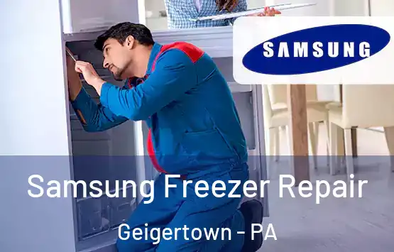  Samsung Freezer Repair Geigertown - PA