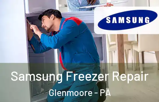 Samsung Freezer Repair Glenmoore - PA