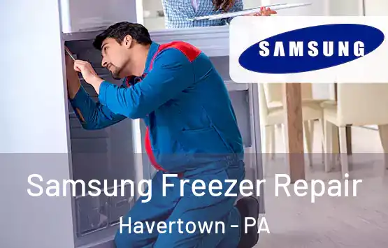 Samsung Freezer Repair Havertown - PA