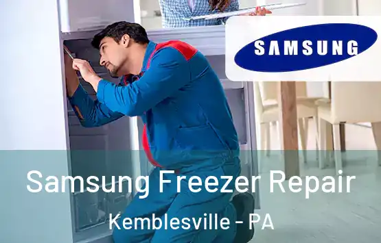  Samsung Freezer Repair Kemblesville - PA