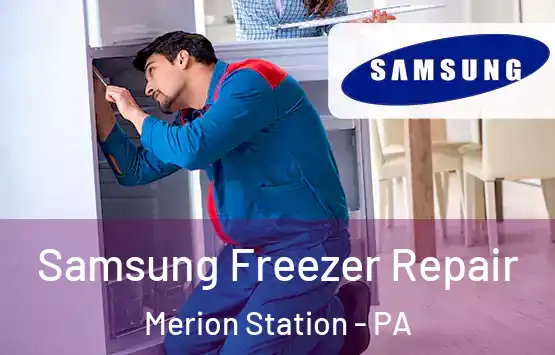  Samsung Freezer Repair Merion Station - PA