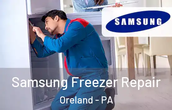  Samsung Freezer Repair Oreland - PA