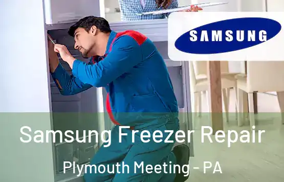  Samsung Freezer Repair Plymouth Meeting - PA