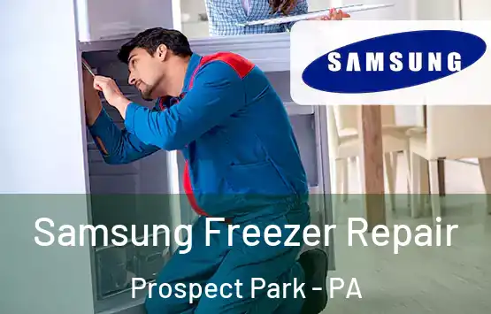  Samsung Freezer Repair Prospect Park - PA