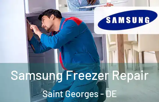  Samsung Freezer Repair Saint Georges - DE