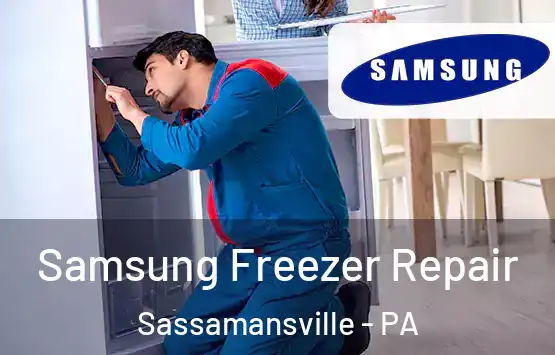  Samsung Freezer Repair Sassamansville - PA