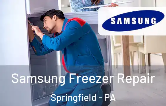  Samsung Freezer Repair Springfield - PA