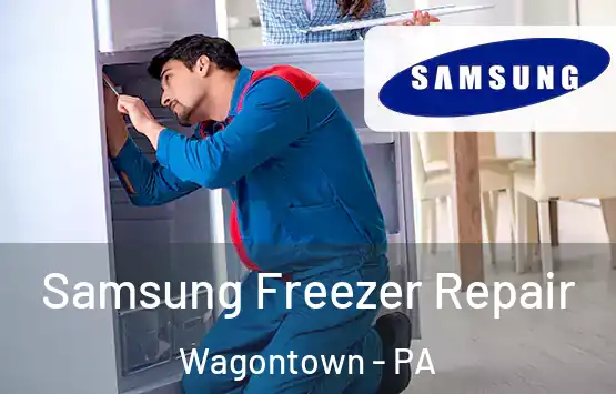 Samsung Freezer Repair Wagontown - PA