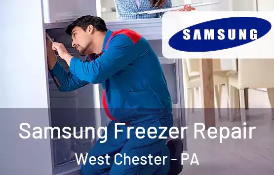  Samsung Freezer Repair West Chester - PA