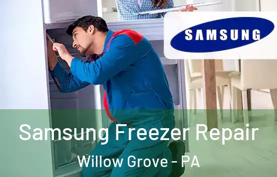  Samsung Freezer Repair Willow Grove - PA