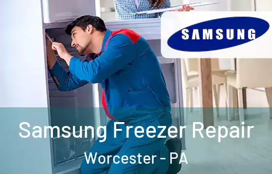  Samsung Freezer Repair Worcester - PA