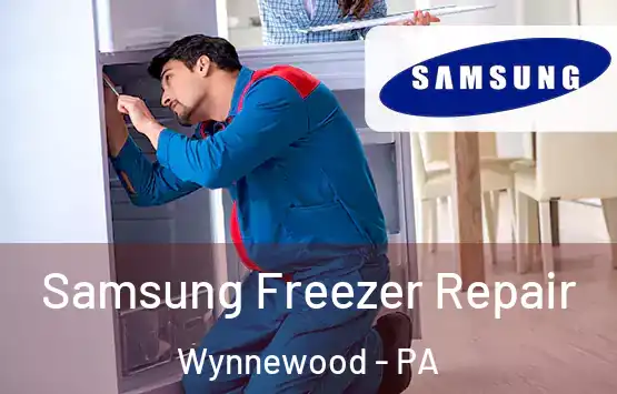  Samsung Freezer Repair Wynnewood - PA