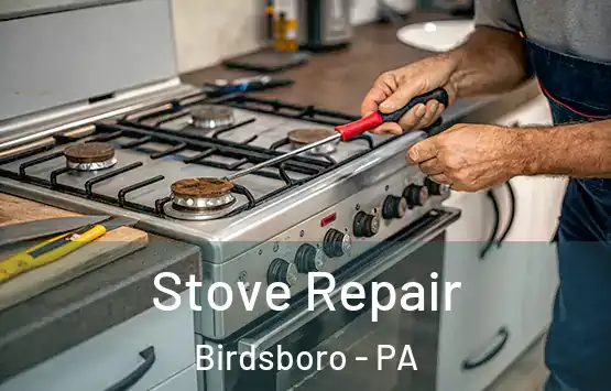  Stove Repair Birdsboro - PA