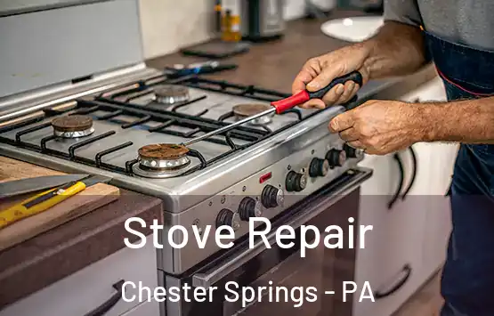  Stove Repair Chester Springs - PA