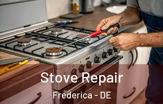  Stove Repair Frederica - DE